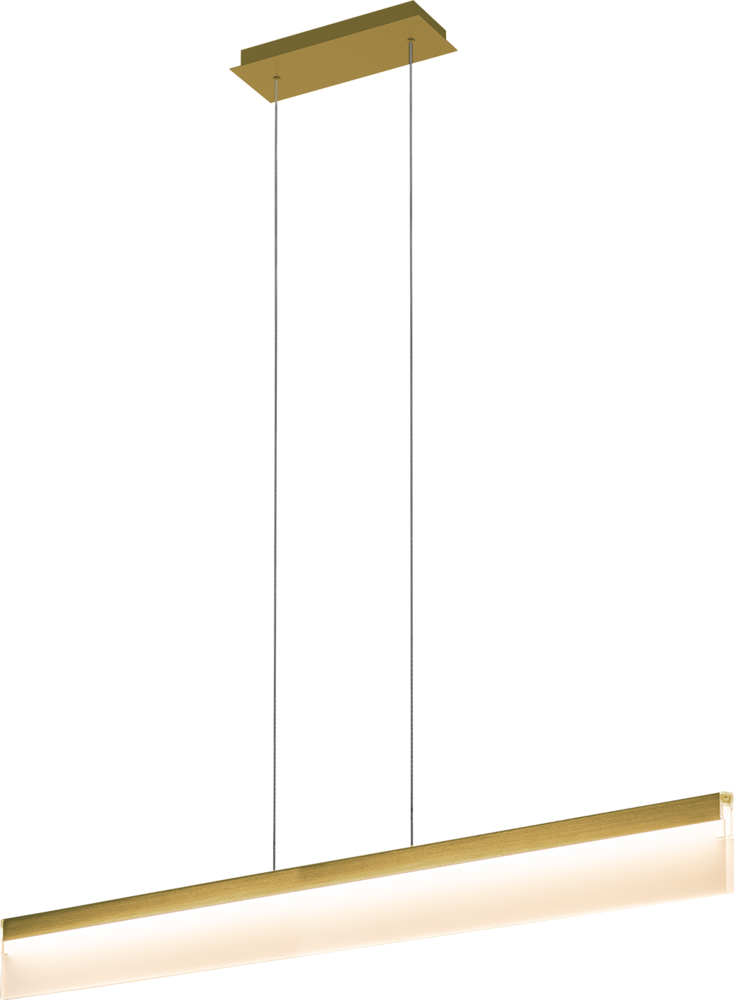 Lange Single Light Linear Pendant