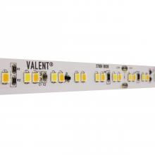 Diode Led DI-24V-VL4-WD3018-100 - STRIP/TAPE LIGHT