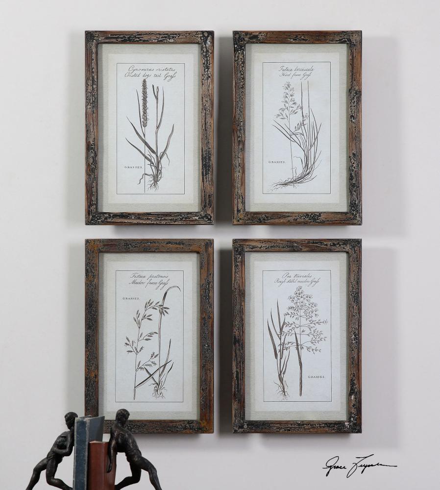 Grasses Framed Art Set/4