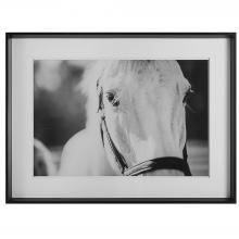 Uttermost 41464 - Uttermost Eyes On The Prize Framed Print