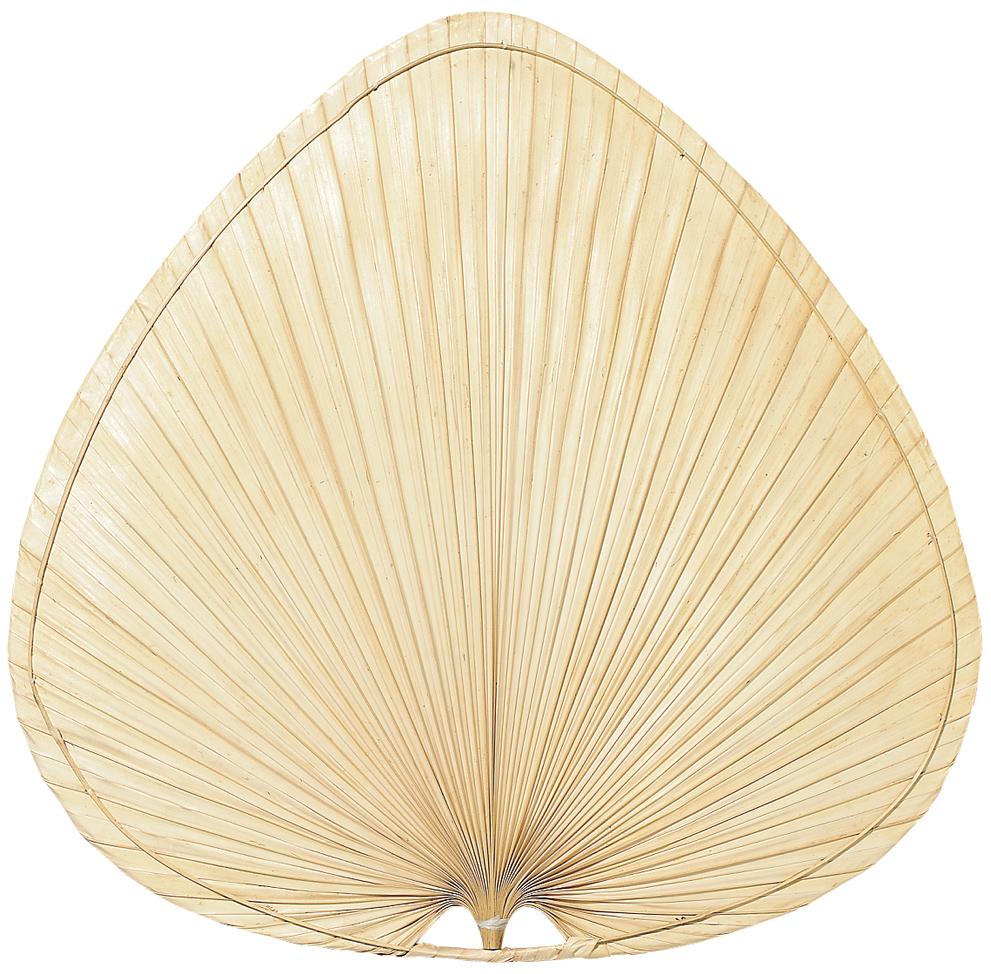 18&#34; CARUSO BLADE: WIDE OVAL PALM, NATURAL  -  SET OF 1