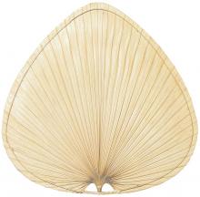  CAISP2 - 18" CARUSO BLADE: WIDE OVAL PALM, NATURAL  -  SET OF 1