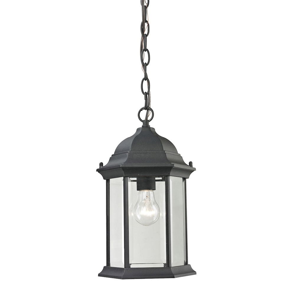 Thomas - Spring Lake 8&#39;&#39; Wide 1-Light Outdoor Pendant - Matte Textured Black