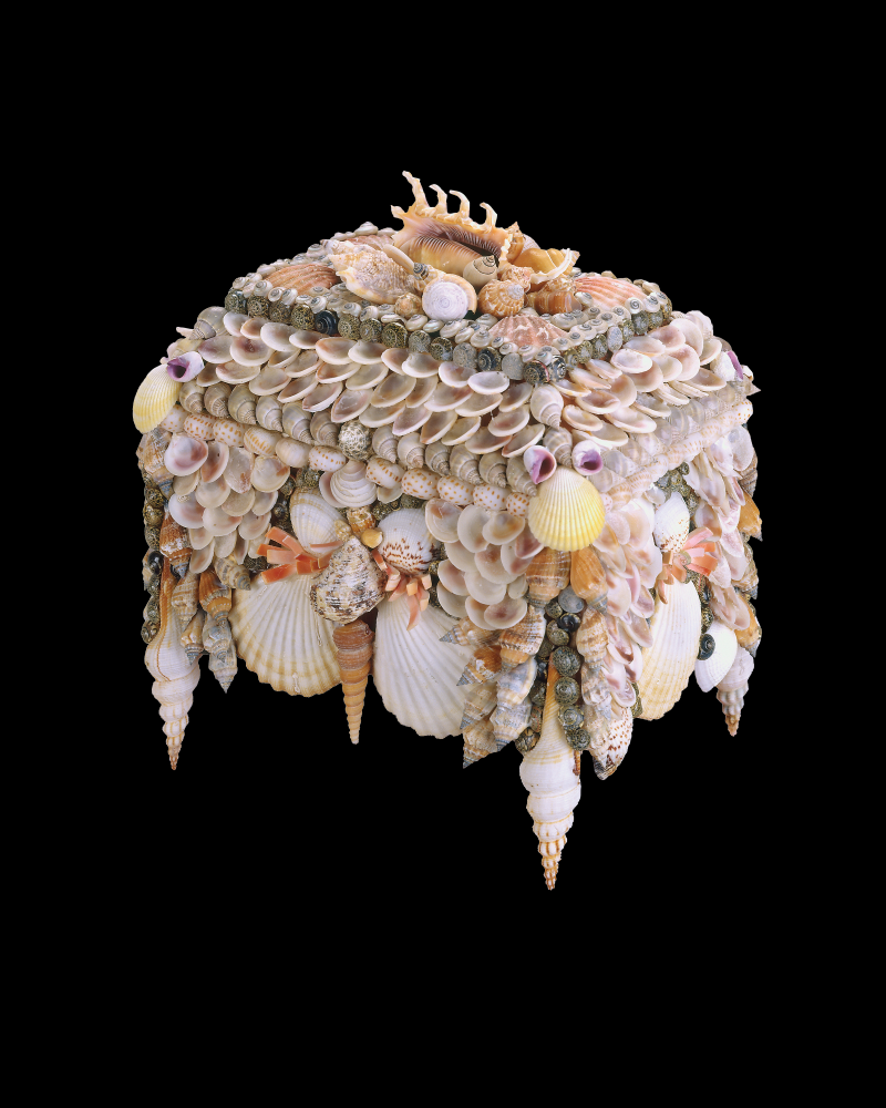 Boardwalk Natural Shell Jewelry Box