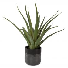 Uttermost 60204 - Uttermost Tucson Aloe Planter